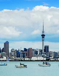 Buying Buyer Seller Vendor New Zealand